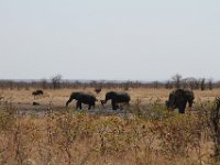 Kruger Park Day3